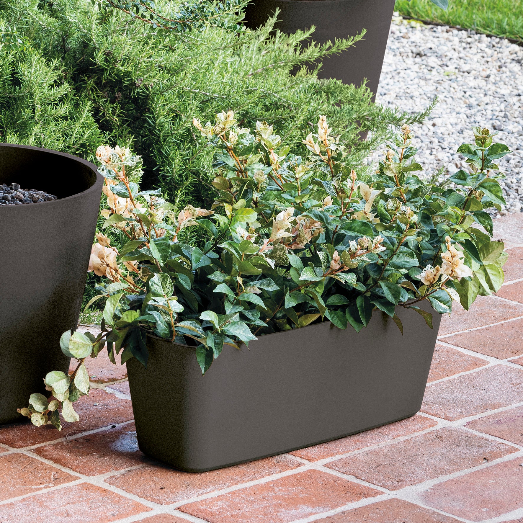 DEROMA Jardinière Origin Anthracite 50cm