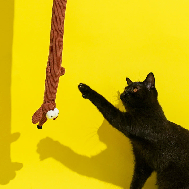 zeze Baguette de Jeu Interactive pour Chat Modèle Teckel avec Papier Crinkle