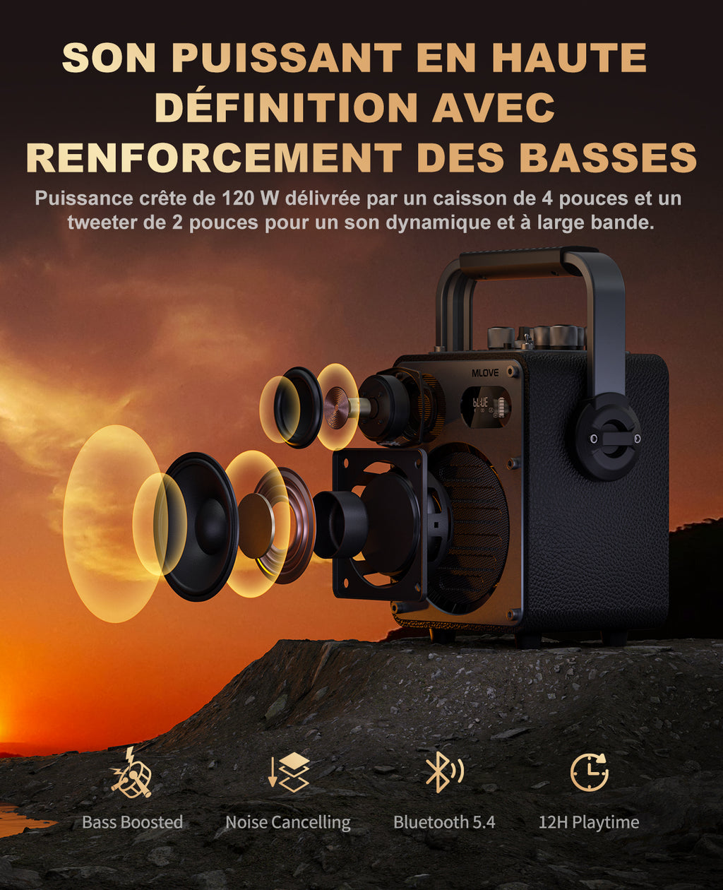 Système de Karaoké Bluetooth Mlove Rangers D4 , Enceinte Portable avec Microphones Sans Fil et Enregistrement Vocal Haute Fidélité