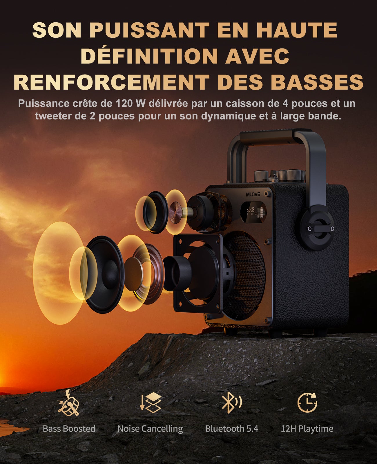 Système de Karaoké Bluetooth Mlove Rangers D4 , Enceinte Portable avec Microphones Sans Fil et Enregistrement Vocal Haute Fidélité