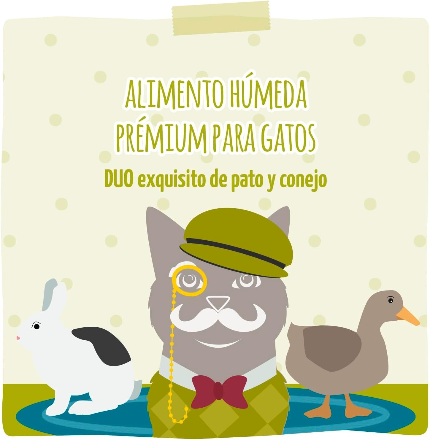 [Peut être servi frais pour l'été] MjAMjAM Senior Duo Nourriture humide pour chat lapin canard - 400 g x 6