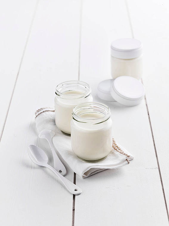 Yaourtière Fromagère "Ligne"