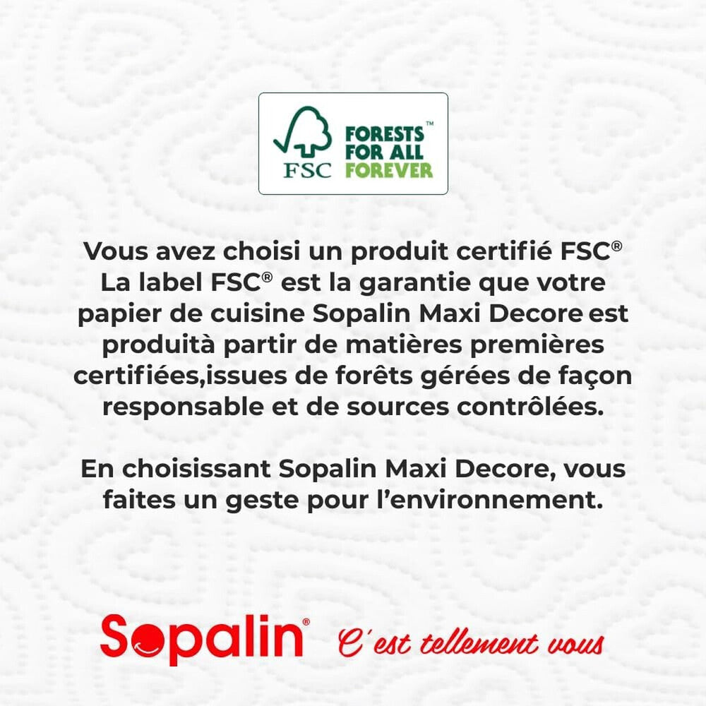 SOPALIN Essuie-tout Motif Décoratif Certifié FSC, 12 Maxi Rouleaux (4 Paquets de 3)
