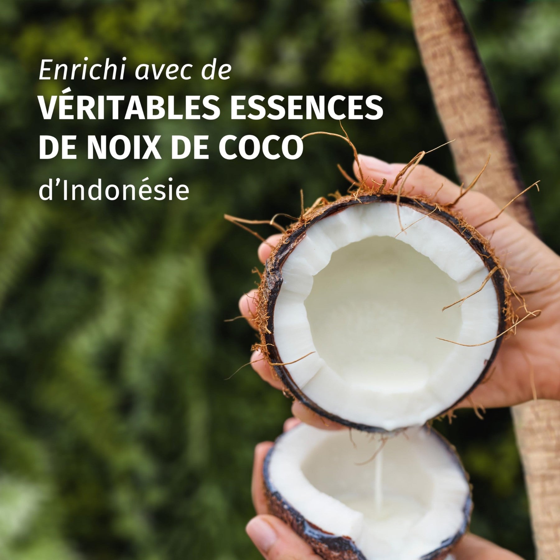 Herbal Essences Routine Hydratation Parfum Noix de Coco avec Shampooing 250 ml, Après-shampooing 200 ml Et Masque 500 ml