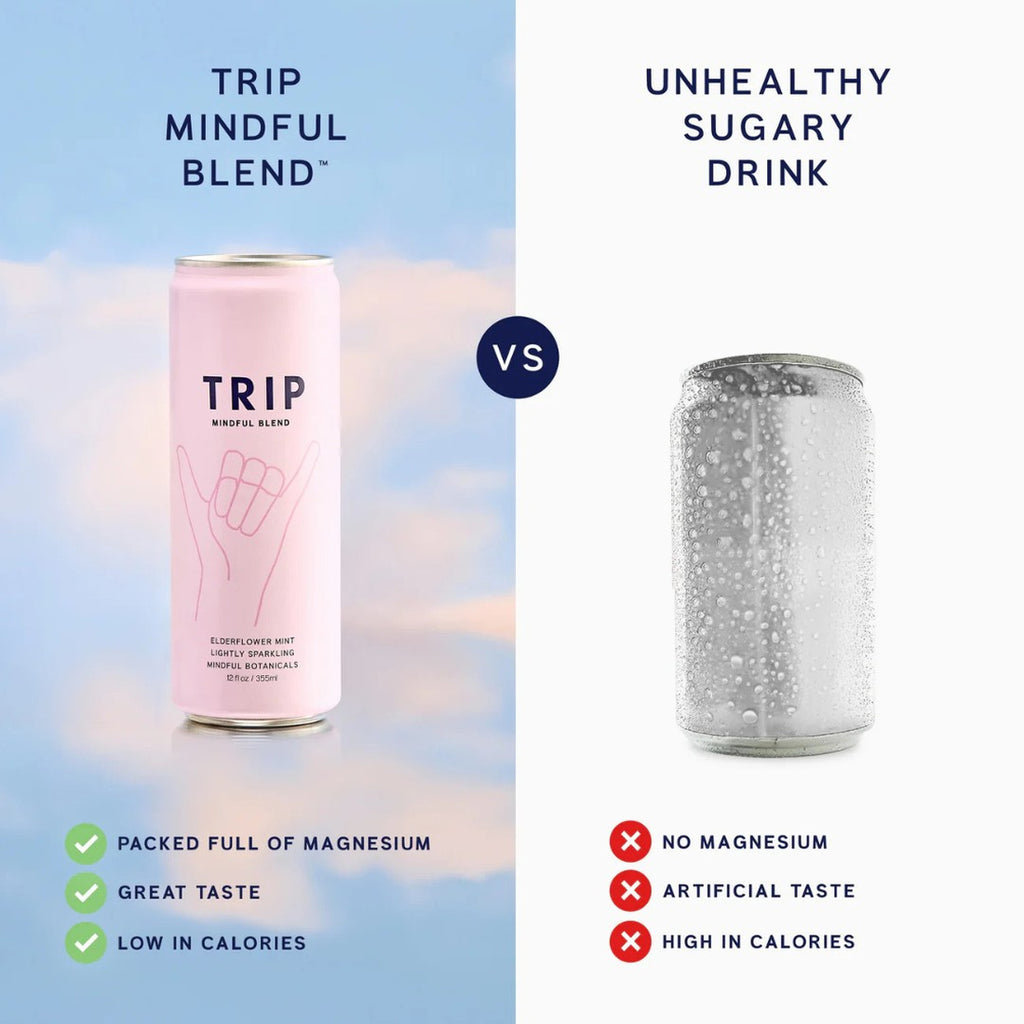 TRIP fleur de sureau-menthe can 33cl x12