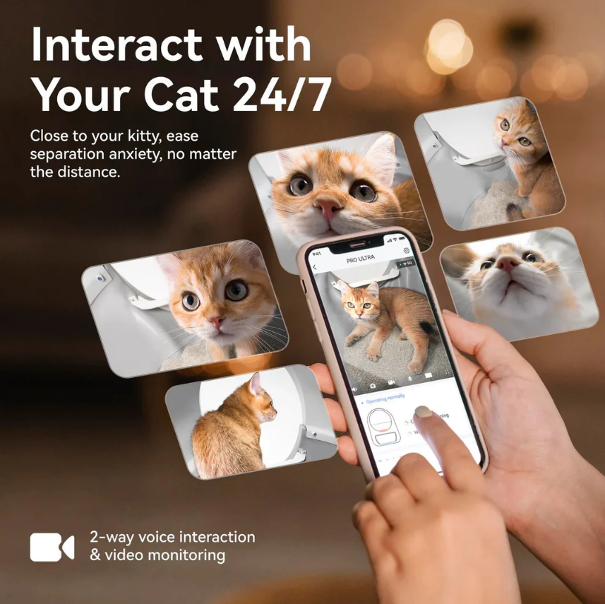 CATLINK Pro-X Bac à litière robotisé intelligent de luxe pour chat - Conception automatique autonettoyante extra large avec contrôle par application, double élimination des odeurs - Convient aux chats de 3,3~22 lb