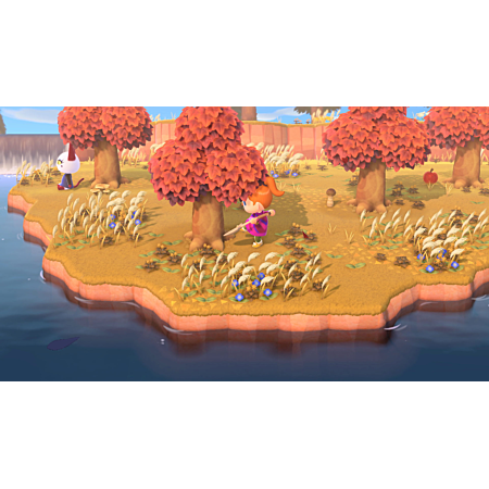 Nintendo Animal Crossing: New Horizons - Switch - Version française
