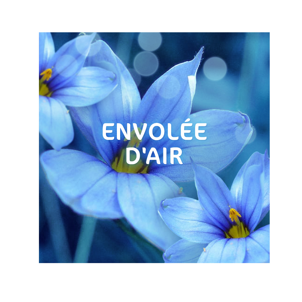Dash Tablettes 2-en-1 Brise d’Air 26 Doses