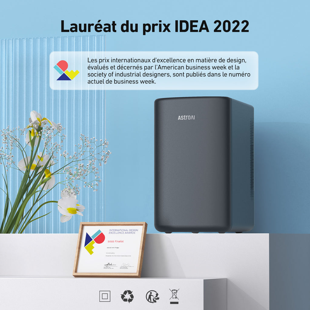 AstroAI Mini-réfrigérateur portable chaud/froid CA/CC 6 L 8 canettes Noir profond