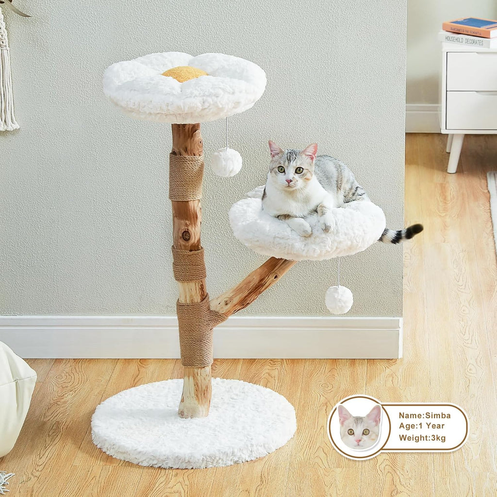 PAWZ Road Arbre à chat fleuri en bois et griffoir 50 cm Bois naturel Blanc nuage