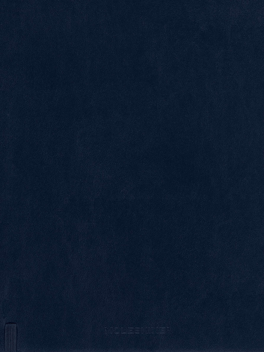 MOLESKINE Agenda semainier 12-mois format-XL souple bleu