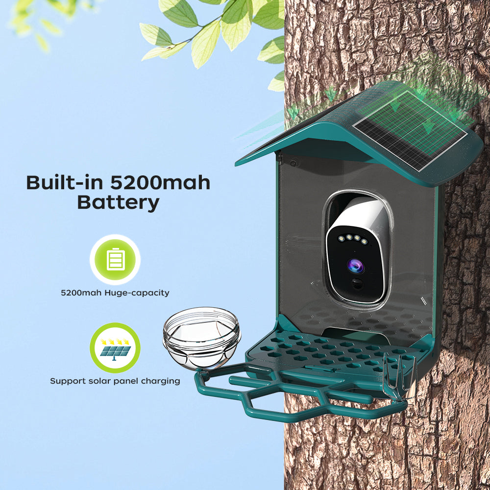 JOOAN Alimentateur intelligent solaire pour oiseaux Wi‑Fi - Capte des photos et des vidéos Ultra HD 2K ! - Le cadeau parfait pour les amateurs d’ornithologie !
