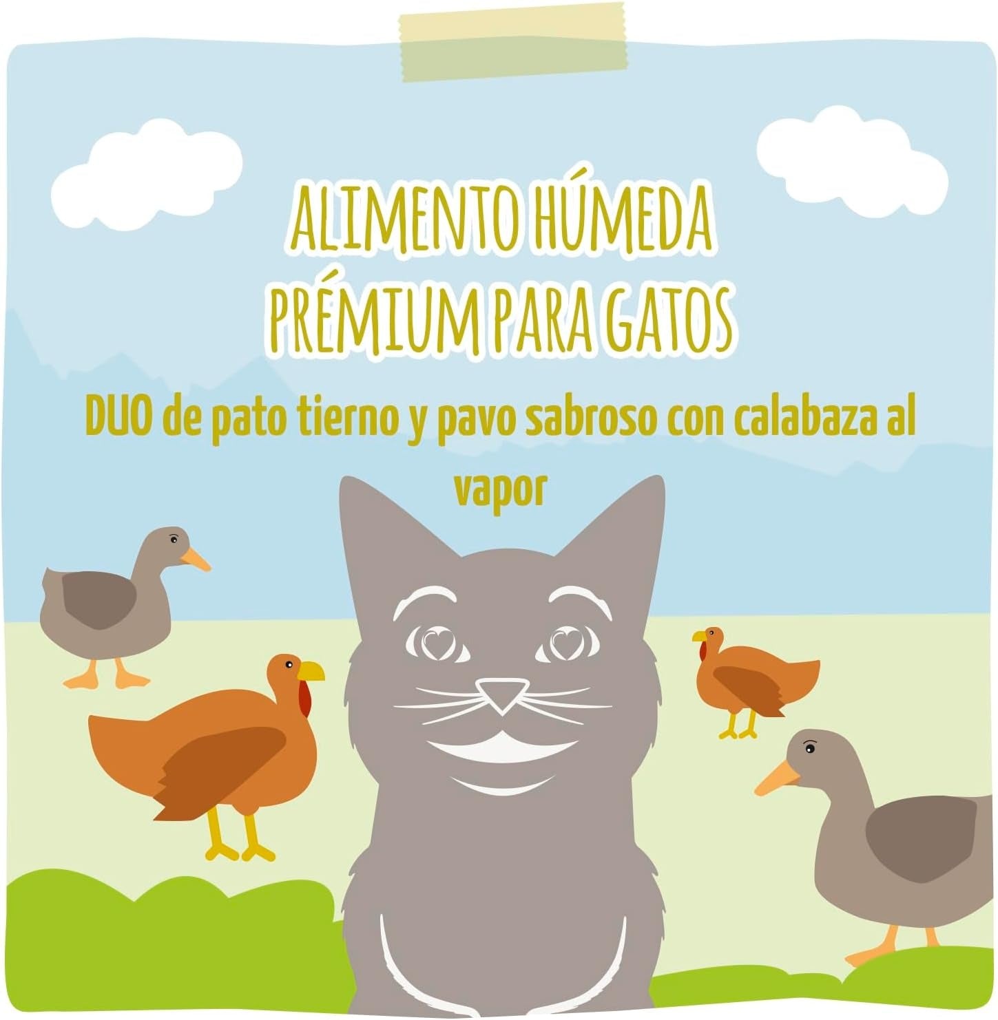 [Peut être servi frais pour l'été] MjAMJAM Duo Quetschie Nourriture humide pour chat canard dinde citrouille - 300 g x 6