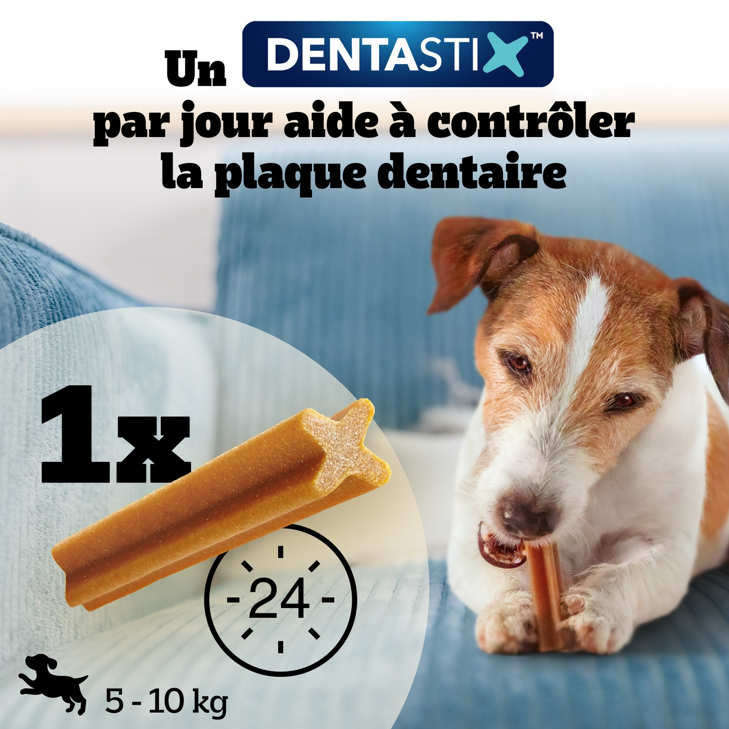 Pedigree Dentastix friandises dentaires pour chiens de petite race - 7 bâtonnets