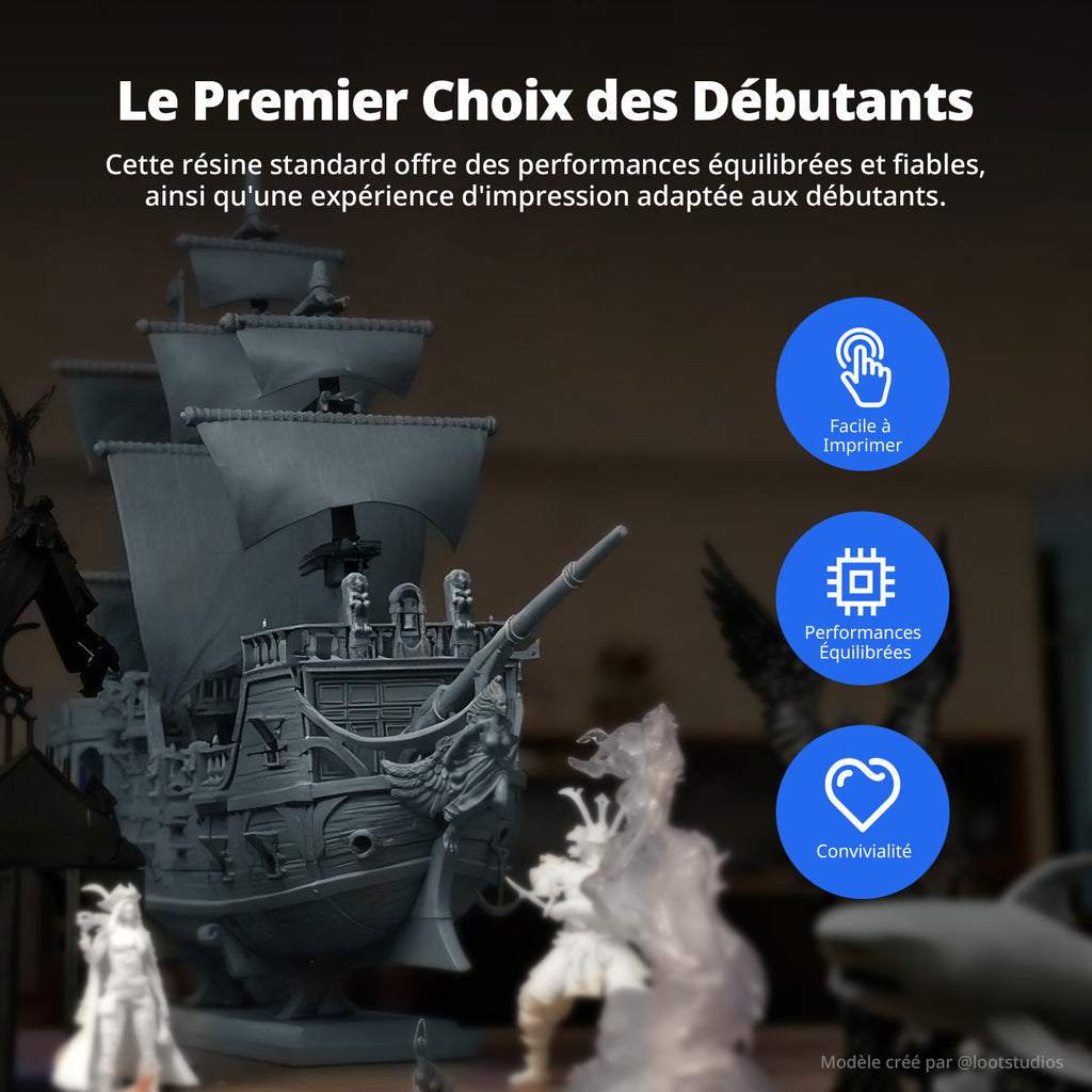 Résine Standard Anycubic 405nm UV à Durcissement Rapide pour Imprimantes 3D LCD/DLP/SLA(Gris, 1 kg)