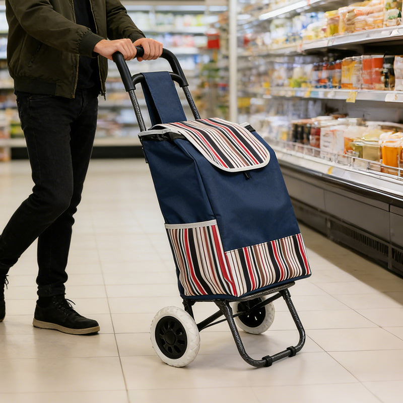 Strong bird Nouveau modèle 2026 Chariot de courses pliable élégant et durable en acier au carbone Meilleure vente en Europe Adapté aux seniors Robuste et peu encombrant Promotion Nouvel An Idée cadeau
