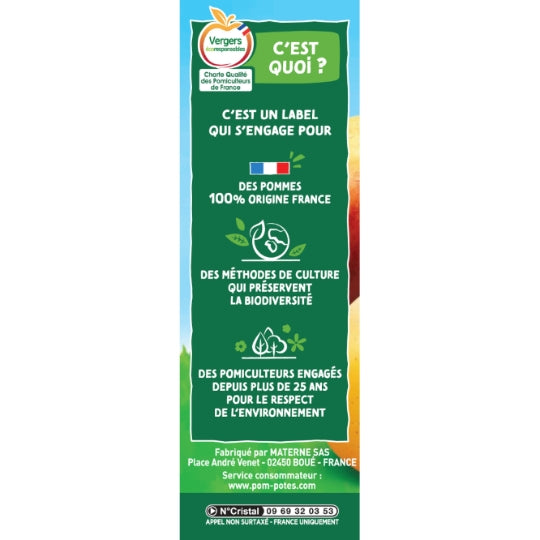 POM'POTES Compote pomme nature sans sucres ajoutés les 4 gourdes de 90 g