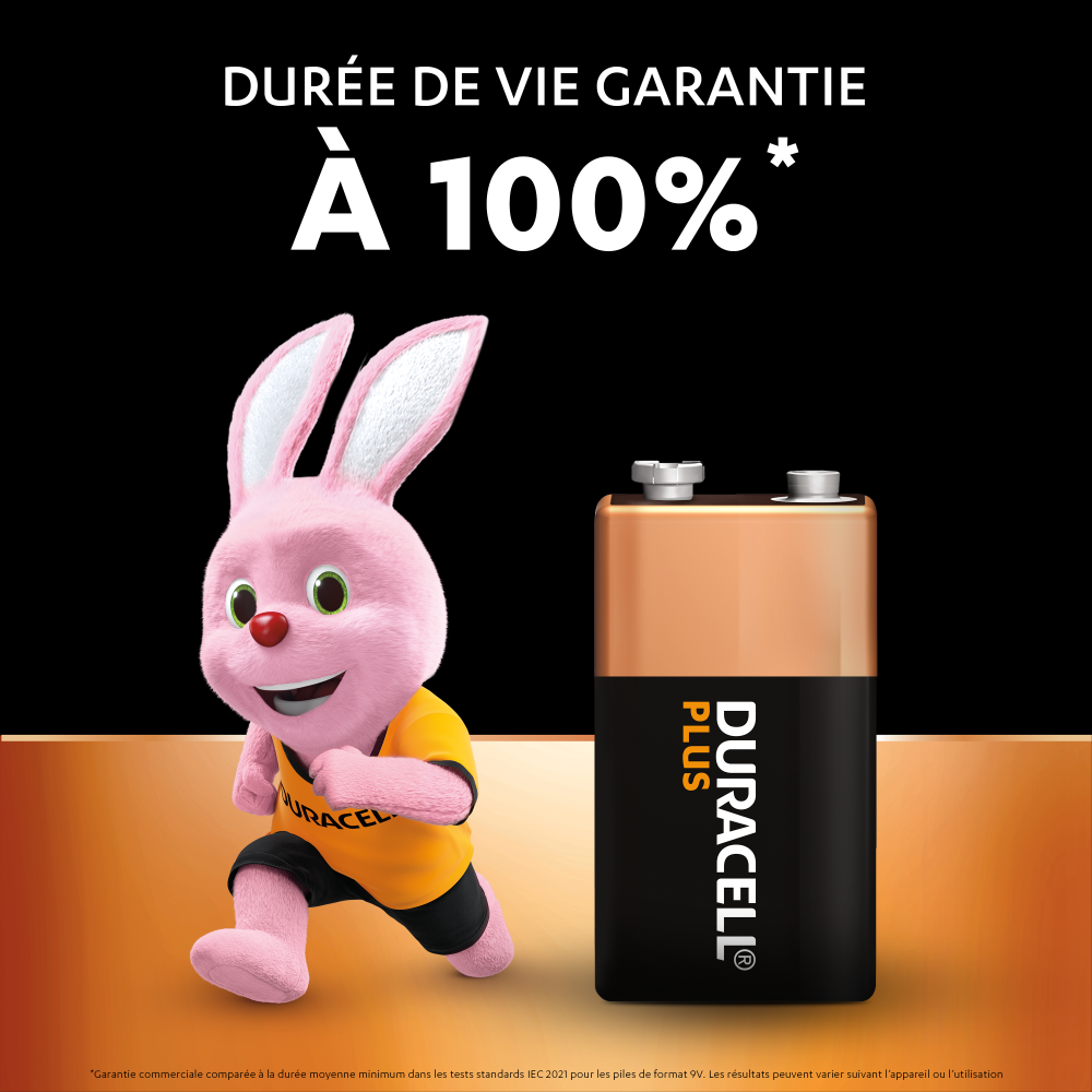DURACELL Plus D Lot de 4 piles alcalines 1,5 V, durée de vie garantie à 100 %, idéales pour les appareils du quotidien, emballage 0 % plastique, durée de conservation de 10 ans – LR20 MN1300