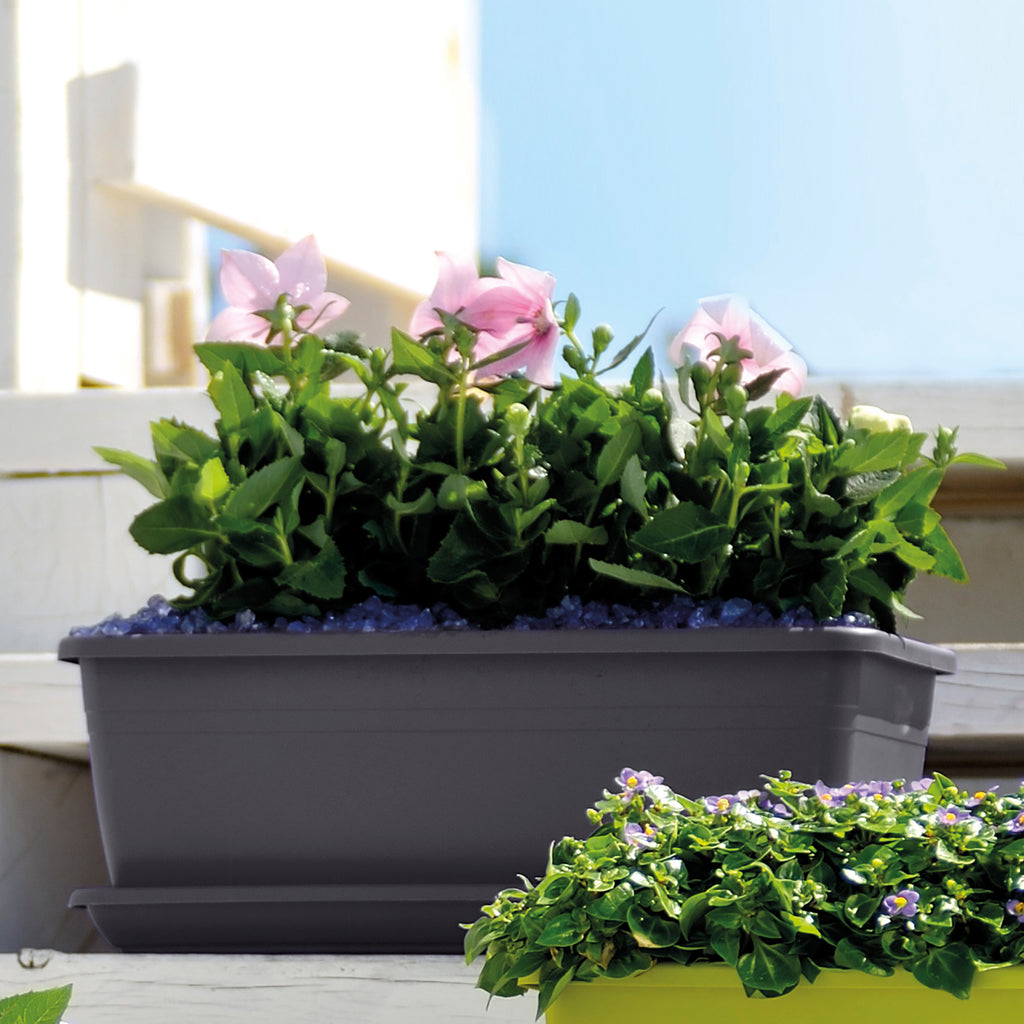 DEROMA Plateau Day R Anthracite 60cm
