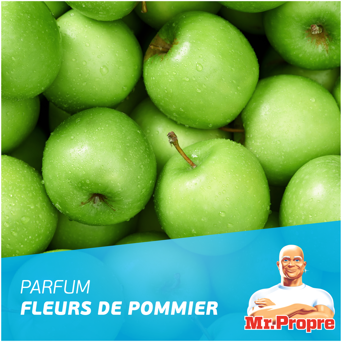 Mr. Propre Nettoyant Liquide Sol Multi-Usages 1L, Parfum Fleurs de Pommier, Élimine Jusqu'à 99.9% Graisse et Saleté, Sans Traces, Fraîcheur Longue Durée