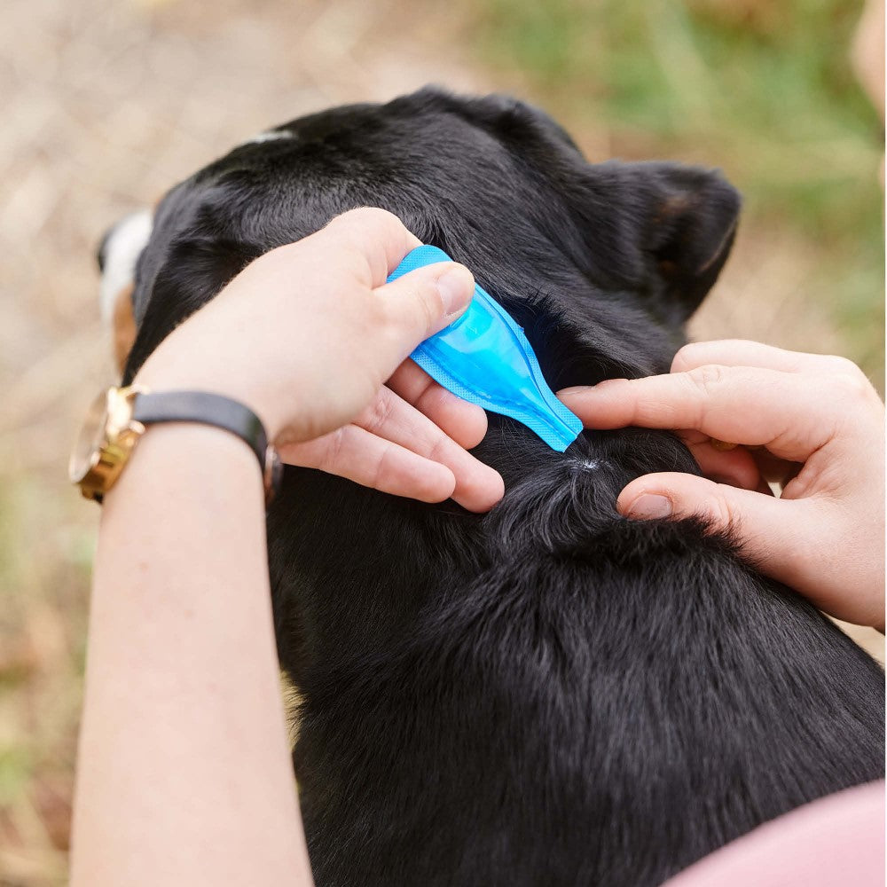 Beaphar Fiprotec Solution spot-on pour chiens 20-40 kg 3+1 pipettes