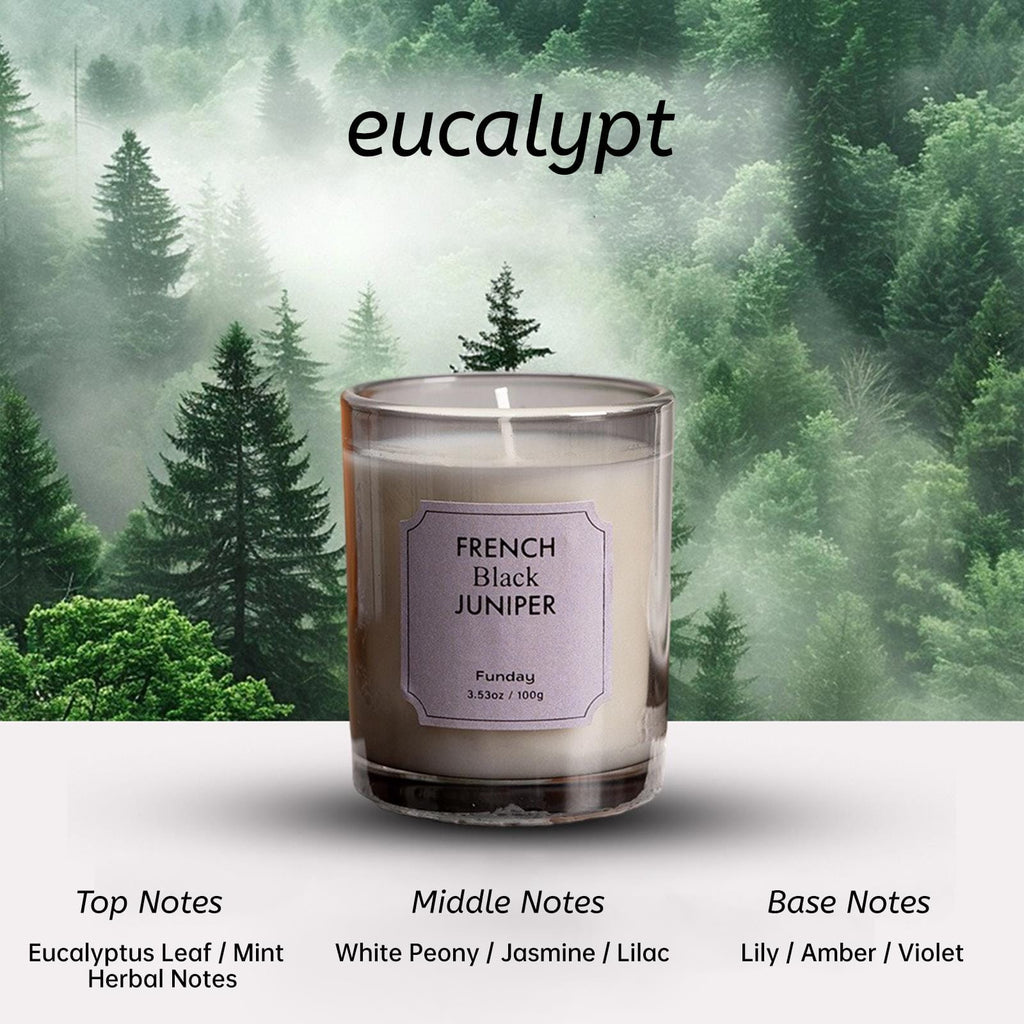 Zooly Amber Time Bougie parfumée - Eucalyptus, Gris clair, 100 g, 1 pièce