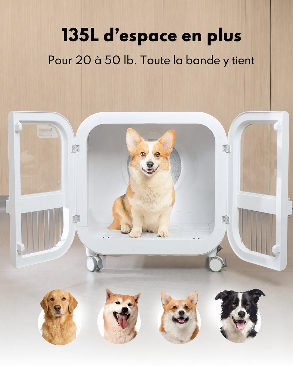 Homerunpet 135 L Deluxe Edition Sèche-Animaux, PD135, Séchage de Qualité Salon, Air Doux à 40 °C, Fonctionnement Ultra-Silencieux, Lit et Sèche-Animaux 2 en 1