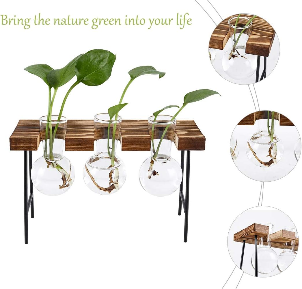 Senhoglb Support pour plantes aériennes