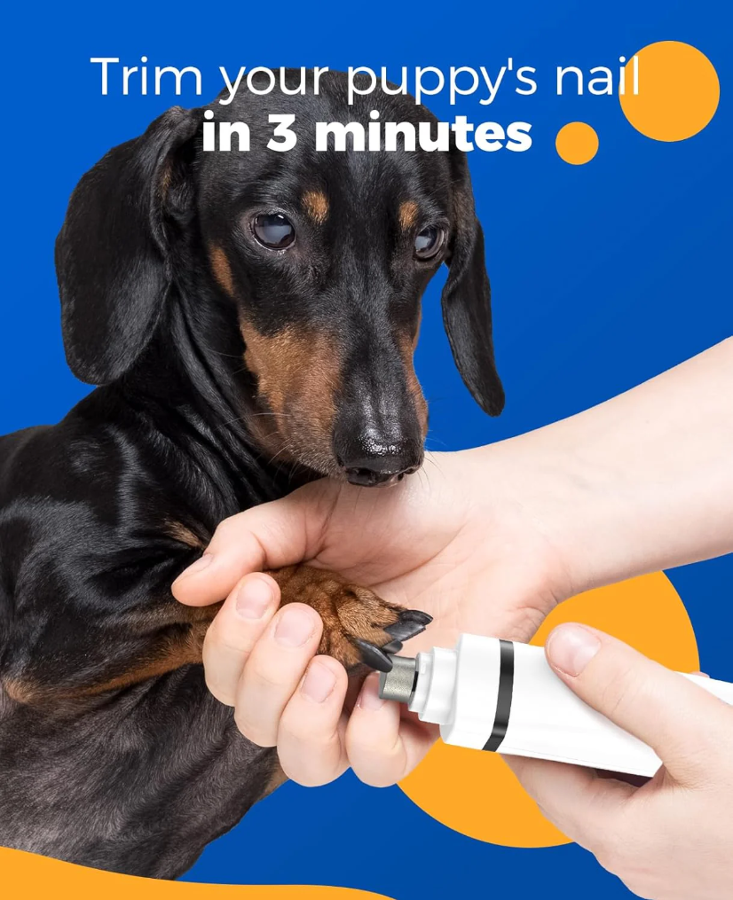 ONEISALL Tondeuse sans fil multifonction pour chiens et chats N12