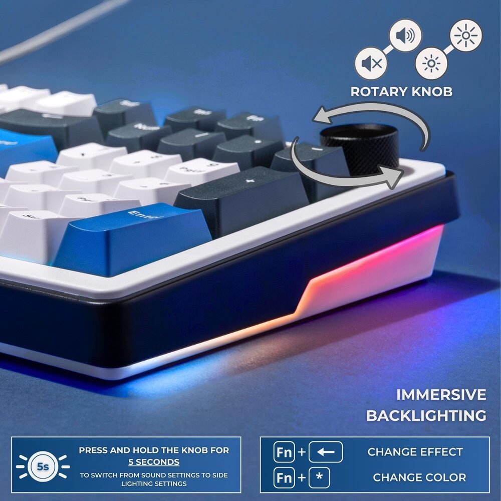 THE G-LAB KEYZ ELITE 400 HE Gaming Clavier Switch Magnétique Filaire RGB 96 % - QWERTY - Bleu/Blanc
