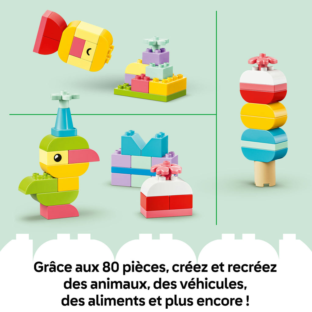 LEGO DUPLO Classic 10479 Boîte créative colorée