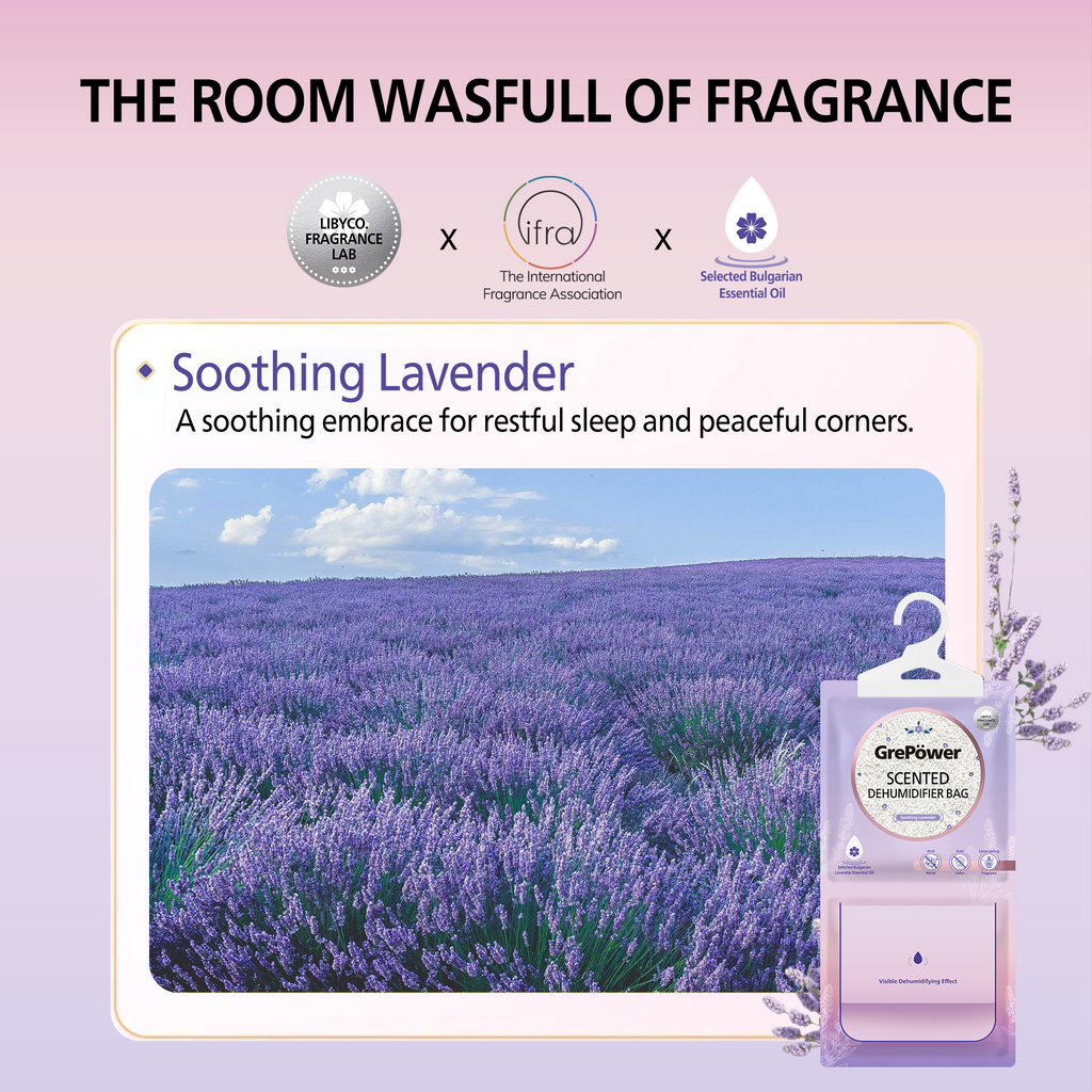 GrePower Sachets déshumidifiants à suspendre, Parfum lavande, Lot de 10, Efficaces contre l’humidité et la moisissure, Pour armoire/maison/cuisine/garage/chambre/camping-car/bureau/sous-sol
