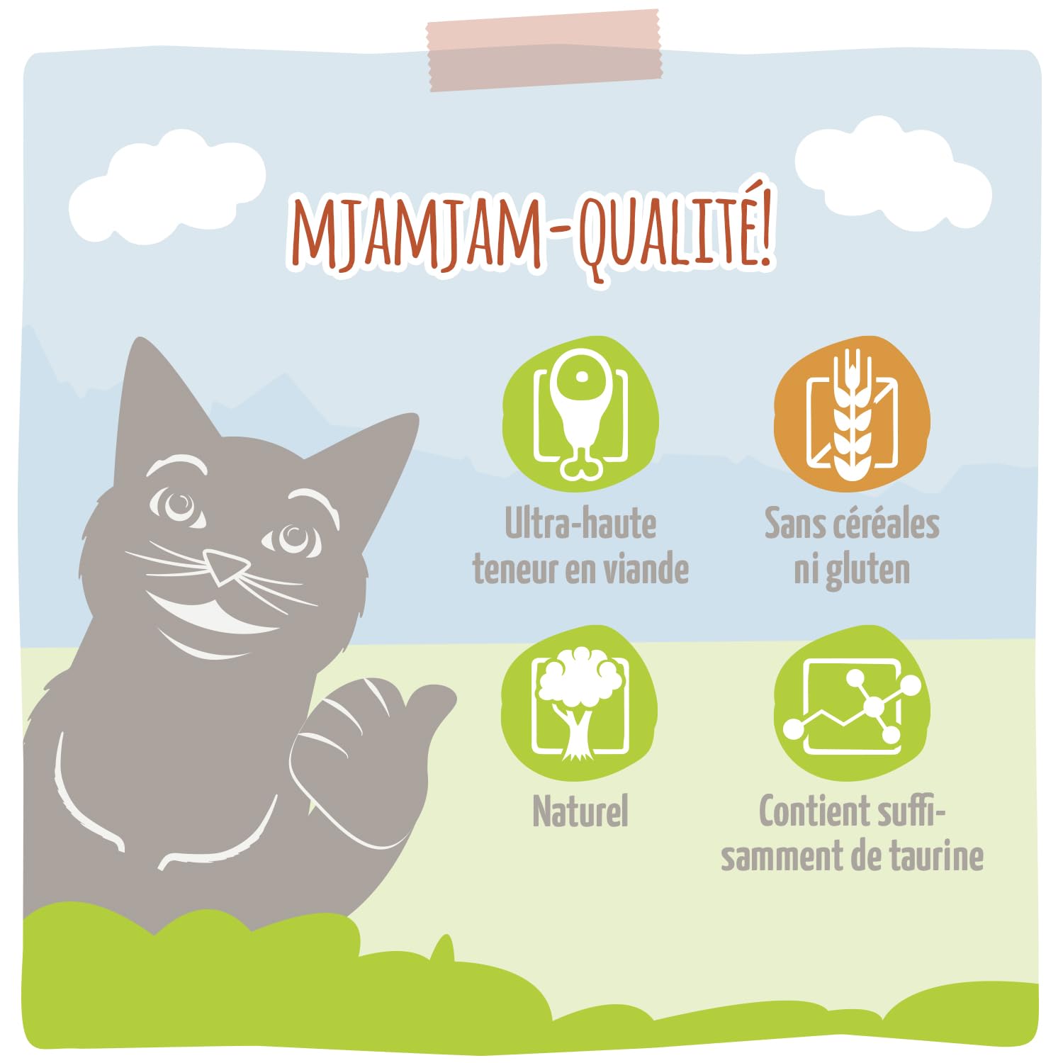 MjAMjAM [Peut être servi frais pour l’été] Aliment humide pour chat en gourde Gibier 300 g x 6
