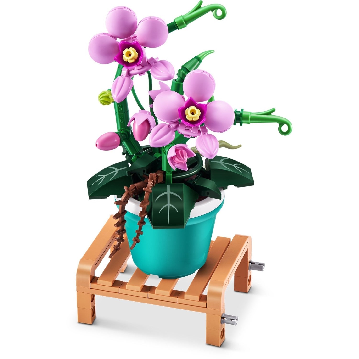 Max Plantes de jardin de qualité supérieure - PDQ