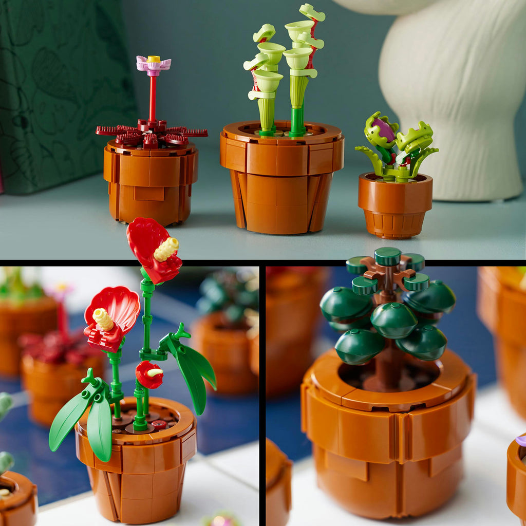 LEGO Botanicals 10329 Les plantes miniatures