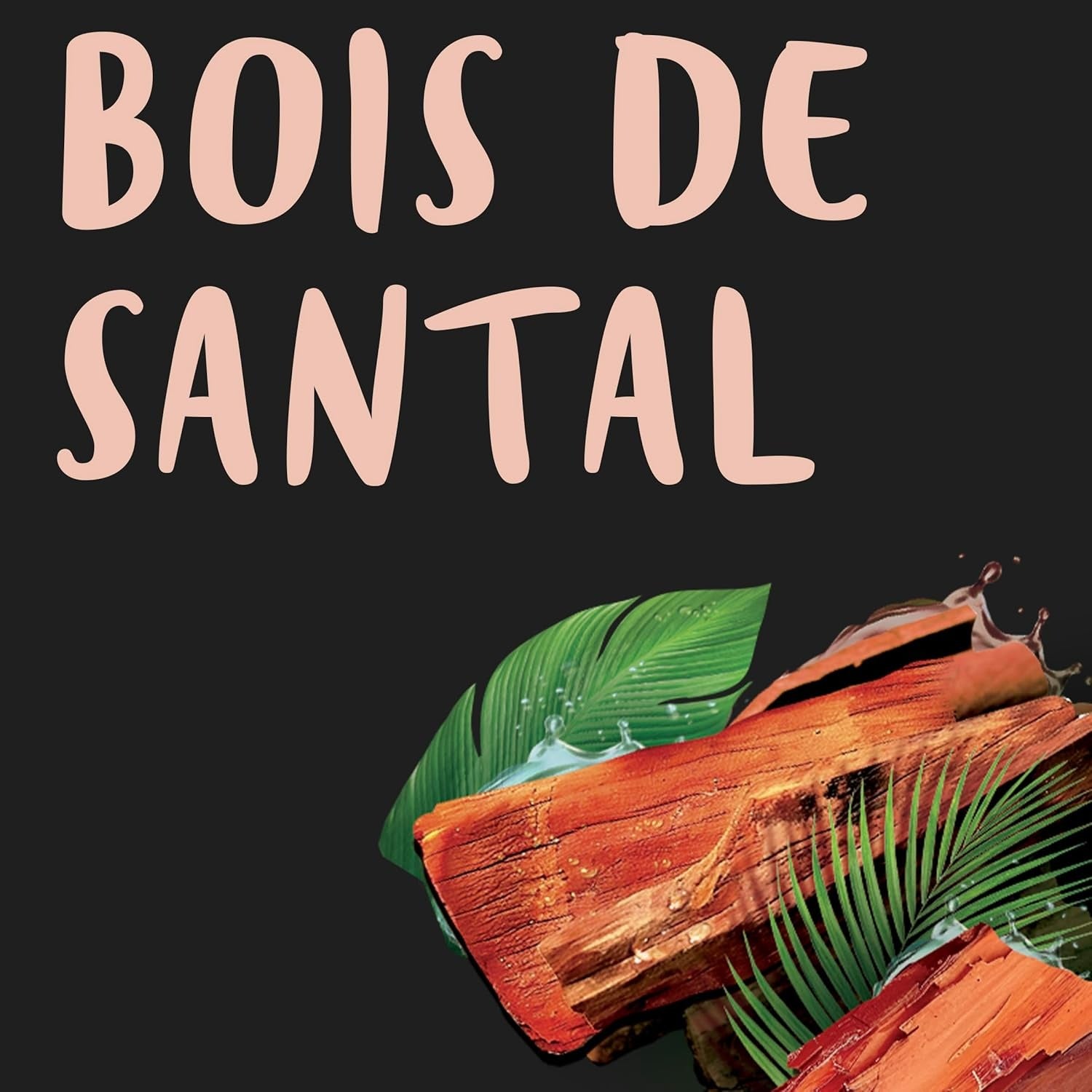 Tahiti Gel Douche Parfum Bois de Santal 8H 250ml