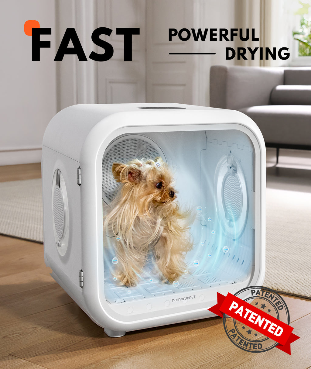 Homerunpet Drybo Plus Séchoir automatique pour chiens et chats, capacité 62 L, 437 x 467 x 486 mm, température, niveau de chaleur, débit d’air et durée de séchage personnalisables, double mode, adapté à tous les stades de vie des chats