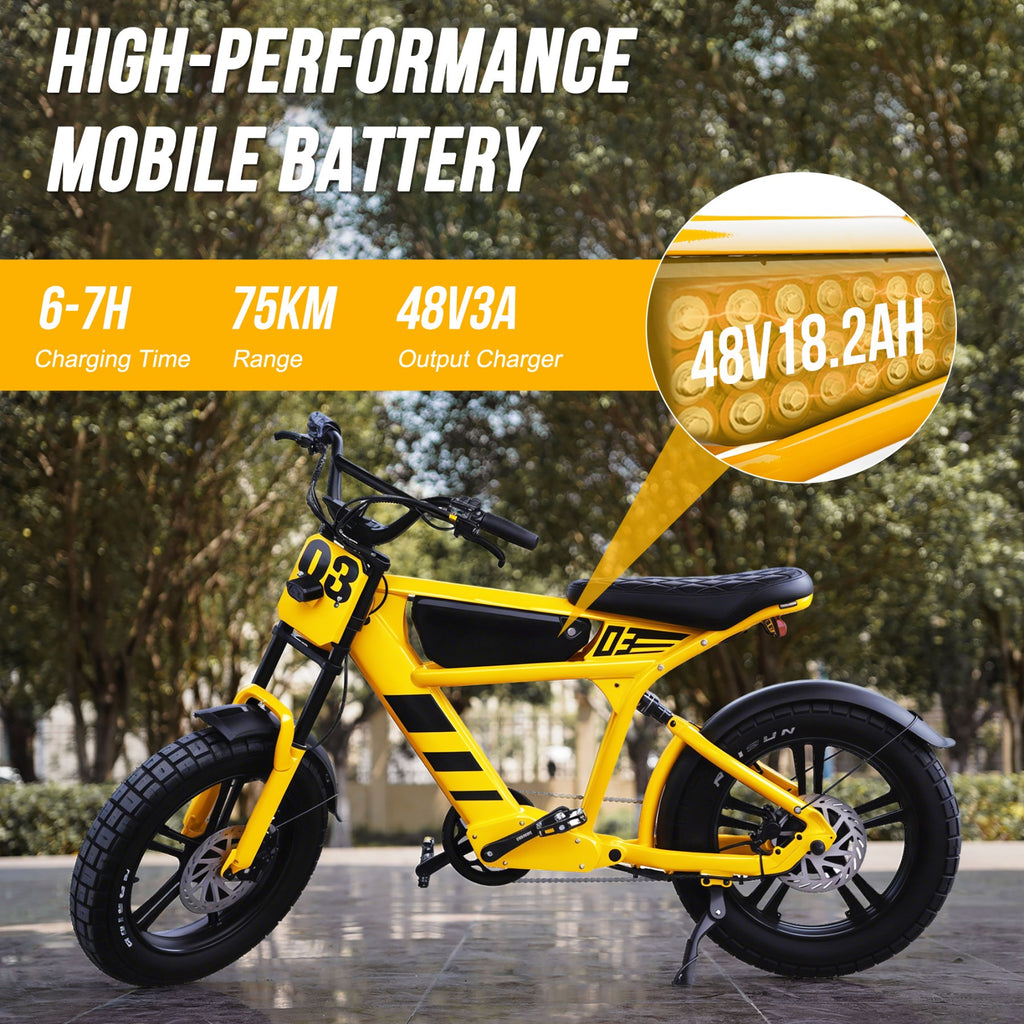 Mangosteen FT03 Vélo électrique 250W avec batterie au lithium 48V 18,2Ah amovible, 25 km/h, autonomie 75 km, pneus larges 20 x 4,5 pouces