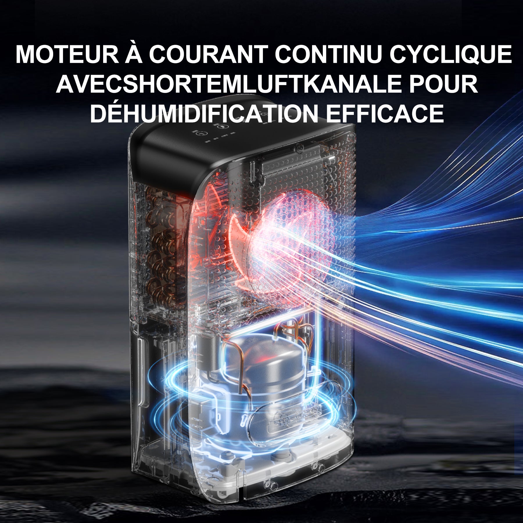 ELECCI Déshumidificateurs 16 L/j avec tuyau d’évacuation, réservoir d’eau de 3,1 L, 4 modes, réfrigérant R290, évacuation continue, dégivrage automatique, minuterie 24 h