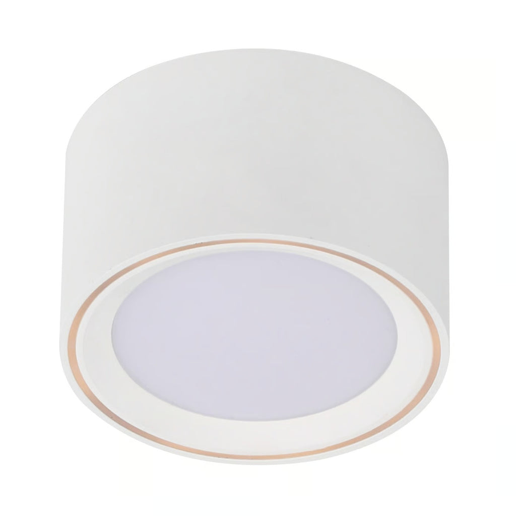 Surface spot FALLON - LED intégrée métal blanc - blanc chaud 2700k IP20 - Nordlux, Intérieur