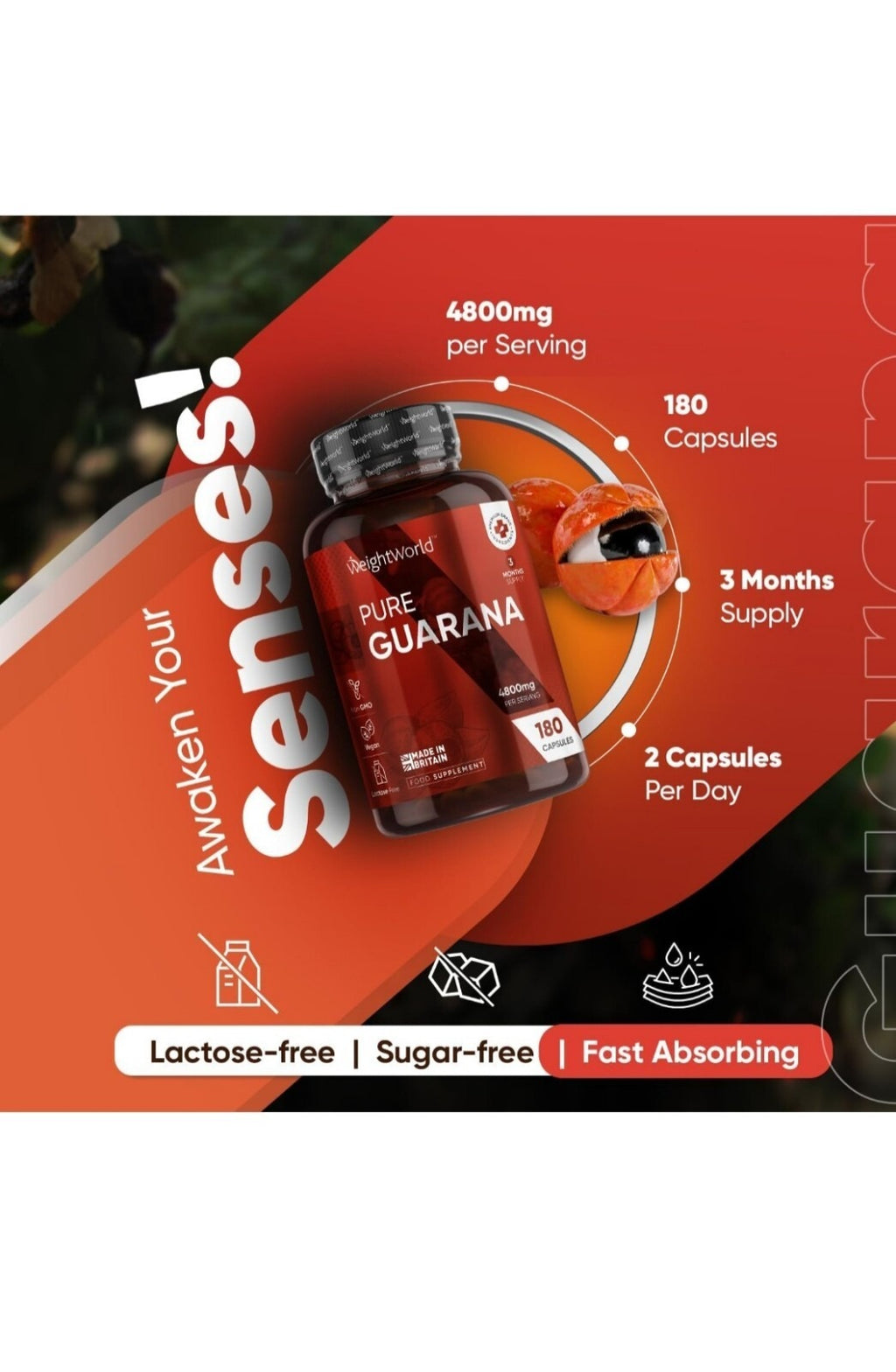 WeightWorld Pure Guarana 4800 mg 180 gélules