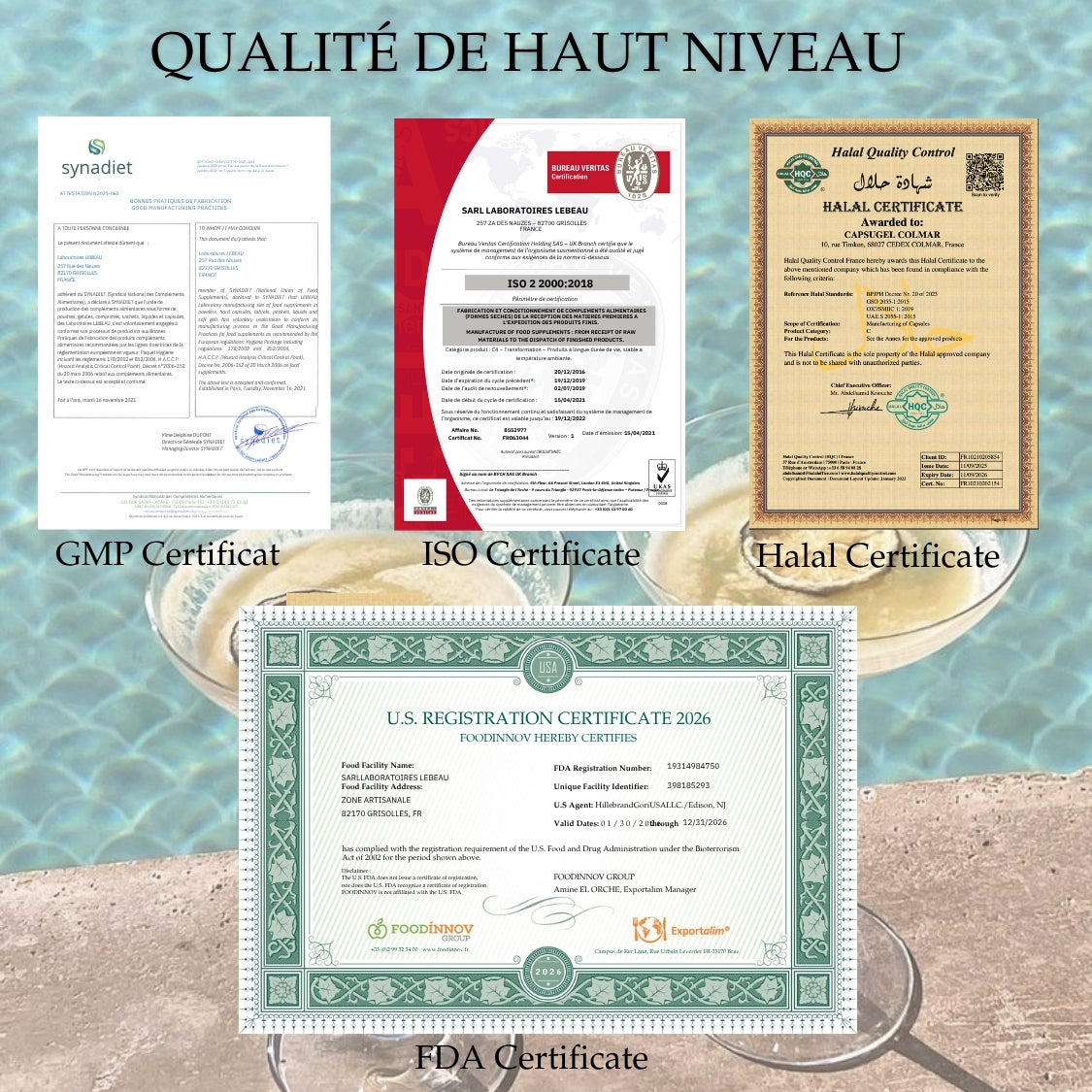 Zen&Tonic Transit en 24h Cure été 20 jours 40 capsules Formule Française Programme bien-être inspiré des traditions botaniques • Fabriqué en France • Pour une routine été au naturel