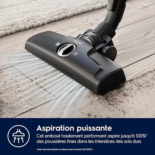 Electrolux 600 EB61C4OG Aspirateur traîneau avec sac
