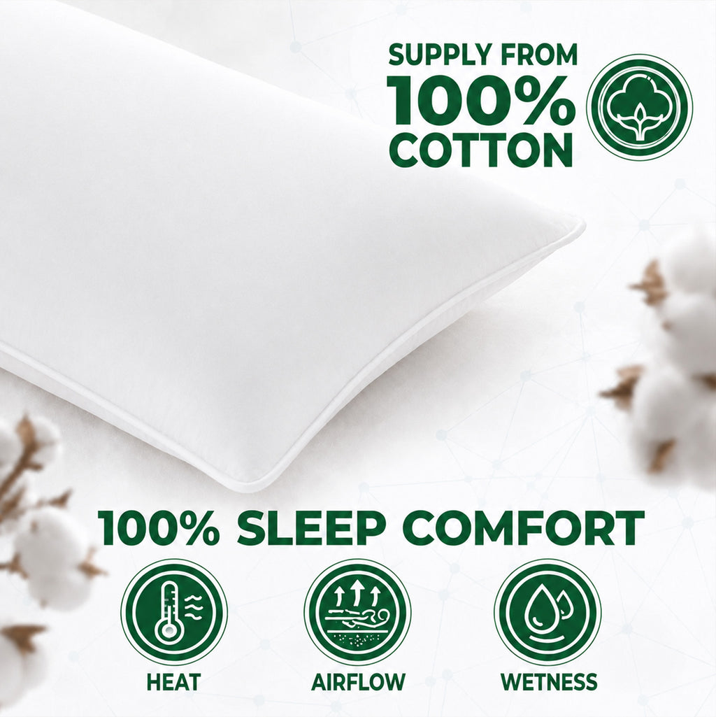 DOWNFOCUS Oreillers de lit en plumes 100 % avec housse en coton 100 %, blanc, design classique, garnissage en plumes 1200 g, inserts d'oreiller standard et doux, 65 x 65 cm, lot de 2