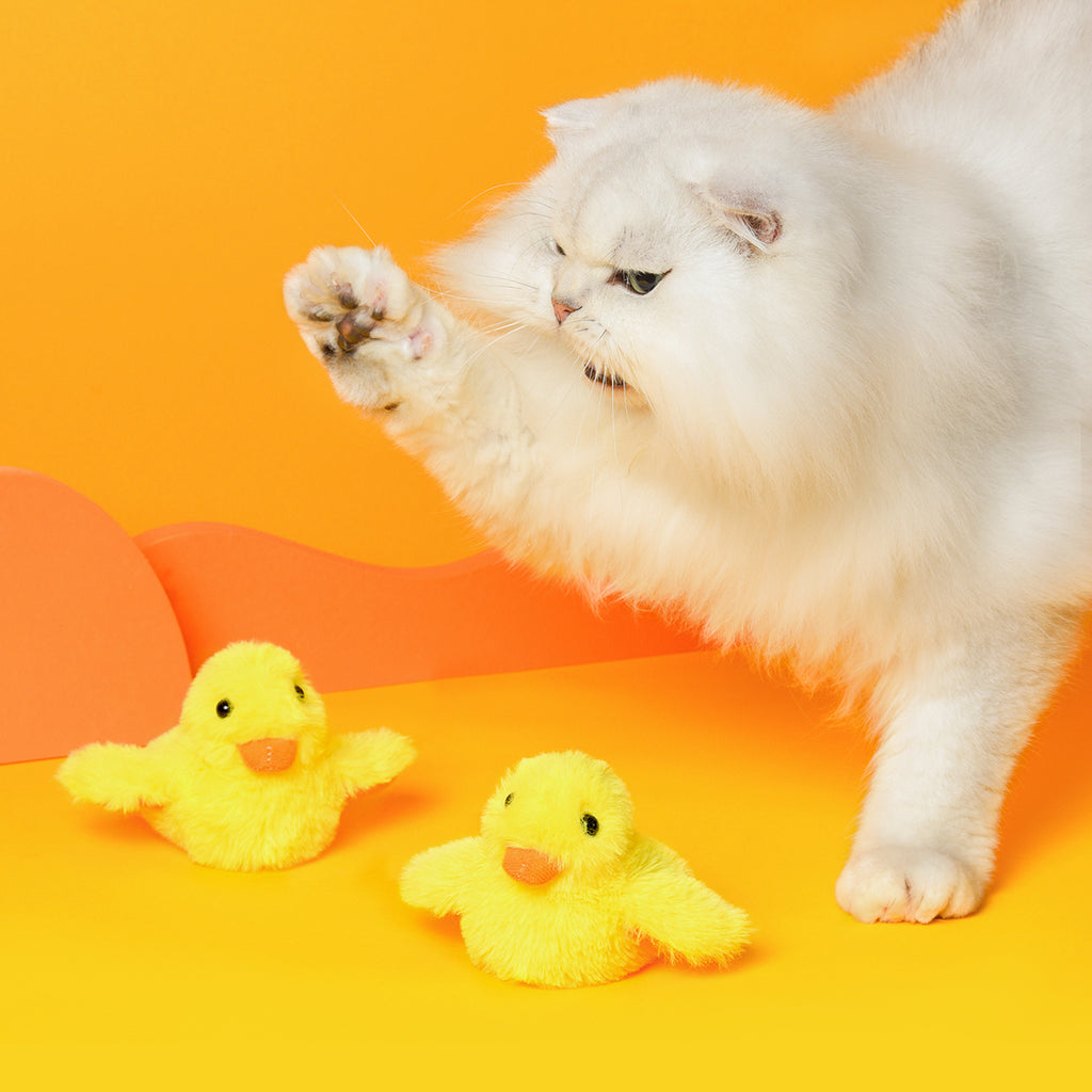 Petgravity Jouet interactif en peluche pour chat, Canard à ailes battantes, Lot de 1, Rechargeable USB-C, Contient de l’herbe à chat, Jouet couineur, Jouet de chasse