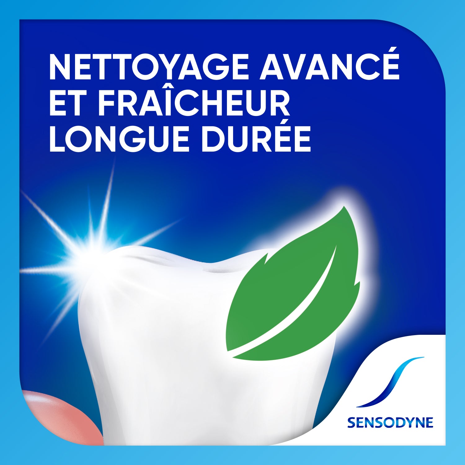 SENSODYNE - Dentifrice Traitement Sensibilité - Lot De 2 x 75 ml