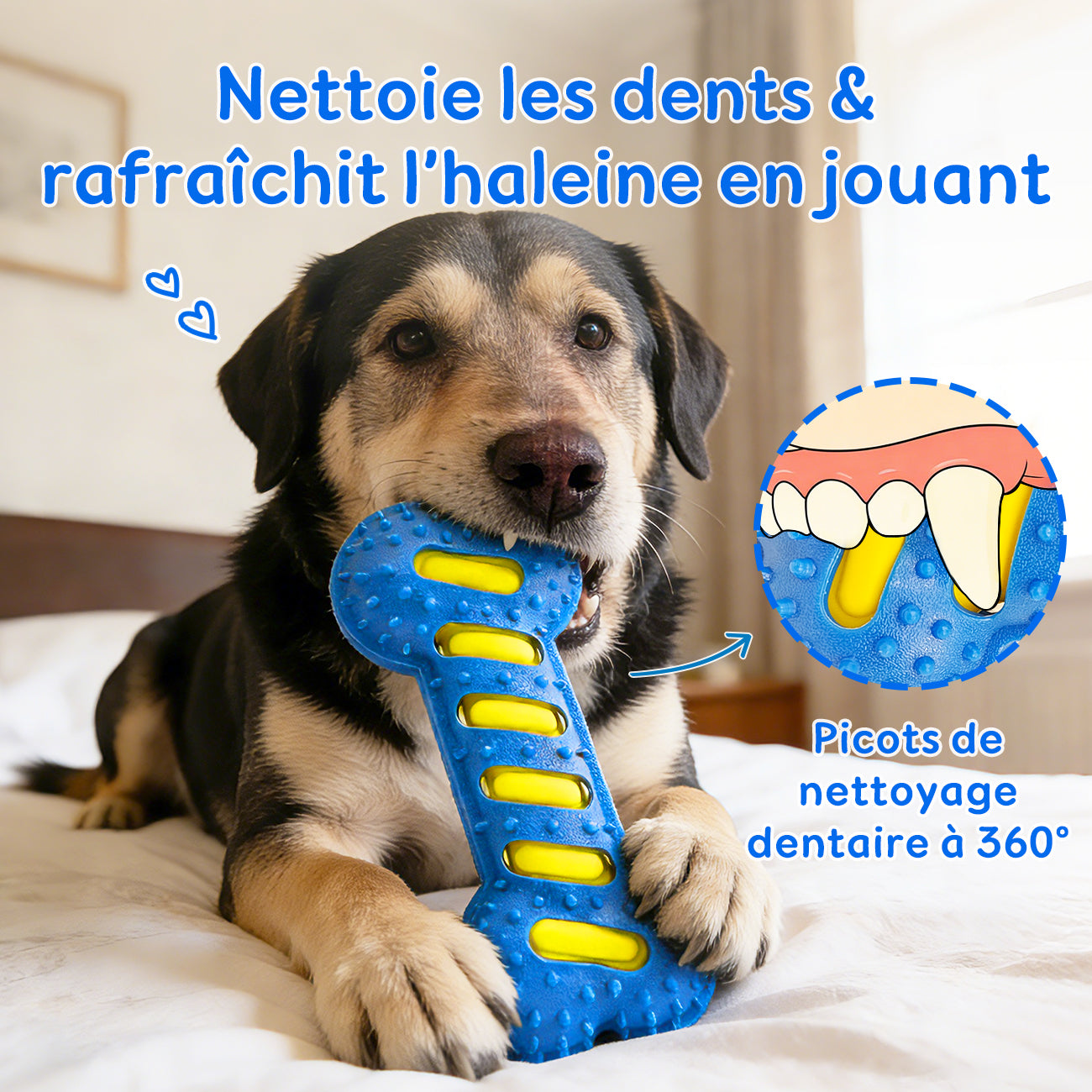 BLINKIT Jouet sonore os en TPR et PVC pour petits et moyens chiens