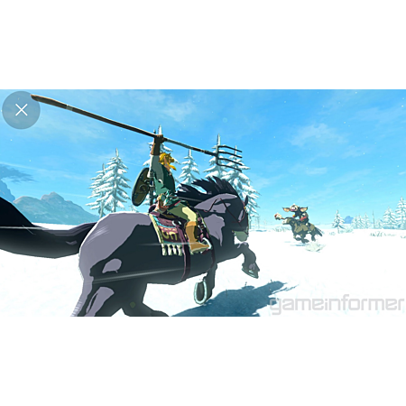 Nintendo The Legend of Zelda: Breath of the Wild - Switch - Version française