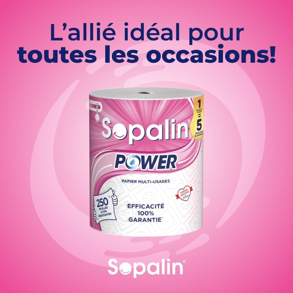 SOPALIN Essuie-Tout 2 Épaisseurs Ultra Résistant, 250 Feuilles, 1 Maxi Rouleau (Équivalent à 5 Rouleaux Standards)