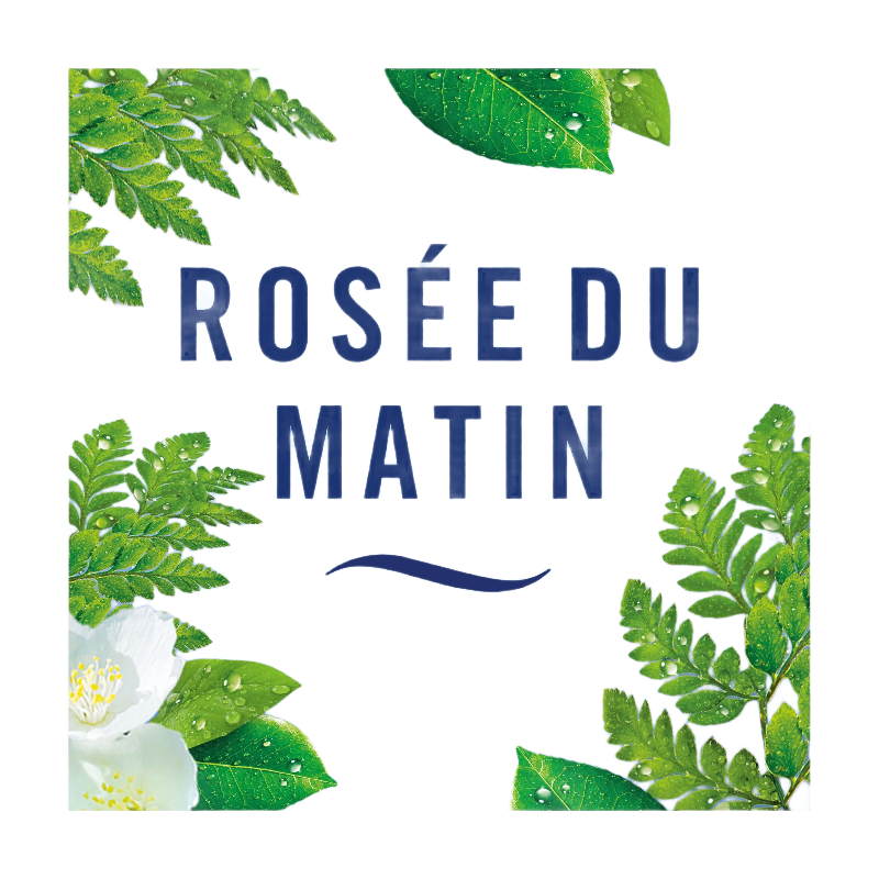 Febreze Désodorisant WC Petit coin Rosée du matin X1